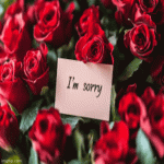 IMG_9256.gif