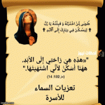 IMG_9409.gif