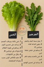 FB_IMG_1750924461088.jpg