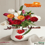 IMG_9635.gif