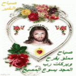 IMG_9642.gif