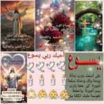 IMG_9653.gif
