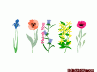IMG_9658.gif