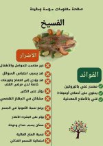 FB_IMG_1751740930049.jpg