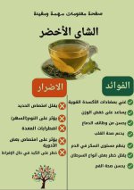 FB_IMG_1751740922457.jpg
