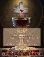 FB_IMG_1751745768795.jpg