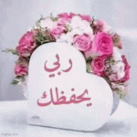 IMG_9816.gif