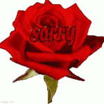 IMG_9858.gif