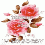 IMG_9869.gif