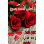 IMG_9881.gif