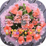 IMG_9894.gif