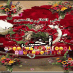 IMG_9906.gif