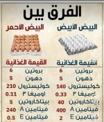 FB_IMG_1753168472209.jpg