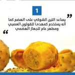 FB_IMG_1753084007294.jpg