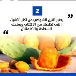 FB_IMG_1753084012063.jpg