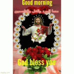 IMG_9991.gif