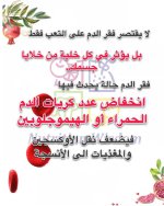 FB_IMG_1754389904367.jpg