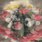 IMG_0055.gif
