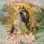 IMG_0151.gif