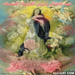 IMG_0165.gif