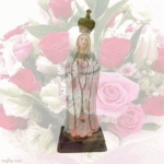 IMG_0176.gif