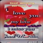 IMG_0236.gif
