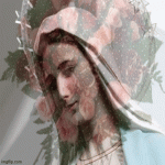 IMG_0242.gif