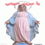 IMG_0243.gif
