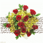 IMG_0245.gif
