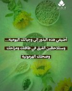 FB_IMG_1756538419869.jpg