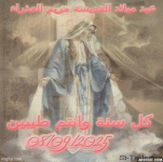 IMG_0281.gif