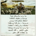 IMG_0295.gif