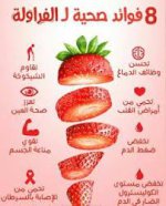 IMG_0339.jpeg