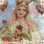 IMG_0378.gif