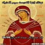IMG_0443.gif