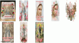 IMG_0485.gif