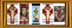 IMG_0598.jpeg