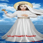 IMG_0686.gif