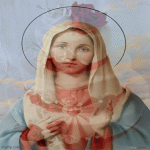 IMG_0788.gif