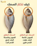 FB_IMG_1759304698841.jpg