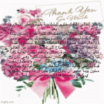 IMG_0892.gif