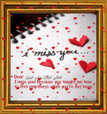 IMG_0911.gif