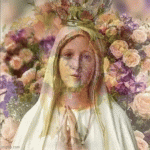 IMG_0976.gif
