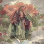 IMG_1017.gif