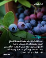FB_IMG_1761072873583.jpg