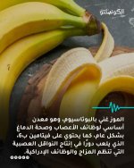 FB_IMG_1761072878502.jpg