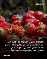 FB_IMG_1761072883098.jpg